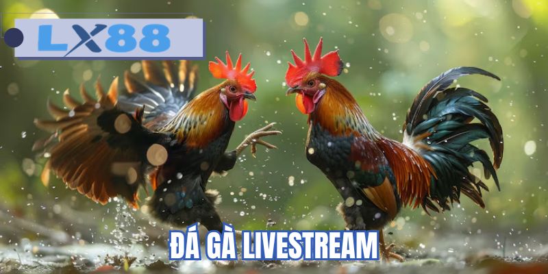 Đá gà livestream